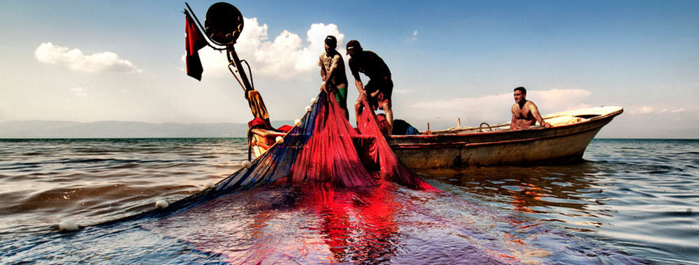 China best HDPE Fishing Nets on sales