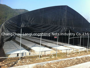 China Custom Black Plastic Sun Shade Net For And Agricultural And Vegetable supplier