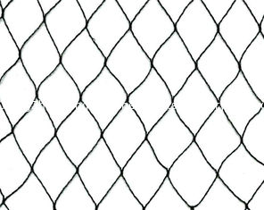 China Plant Protection Agricultural Netting Mesh , Lightweight Garden Anti-Bird Net supplier