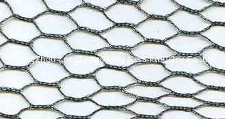 China Agriculture Fruit Cage / Crop Protection Netting Garden Mesh , Bird Proof supplier