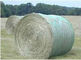 HDPE Plastic Round Hay Bale Agriculture Shade Net 50m - 1000m Length , Bird Proof supplier