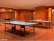 Custom HDPE Multi Sport Nets , Knitted Mesh Table-Tennis Netting supplier