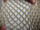 Pet / Spandex Brown Mosquito Net Fabric Mesh Netting For Gardens supplier