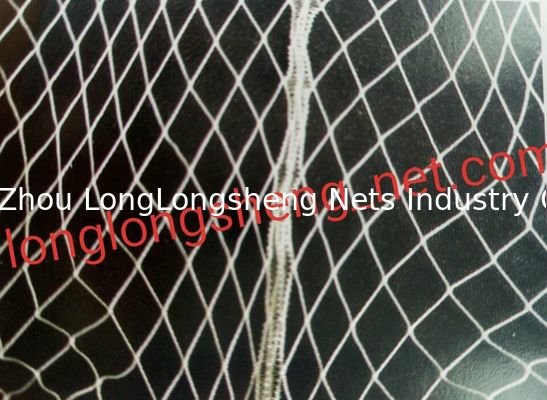 Monofilament White Knotless Net Mesh100mm to 700mm , PES Yarn Sea Fishing Nets